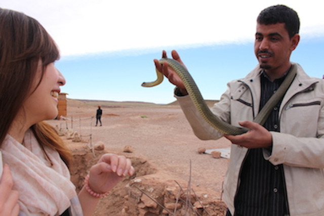 モロッコ、アイトベンハッドゥの蛇