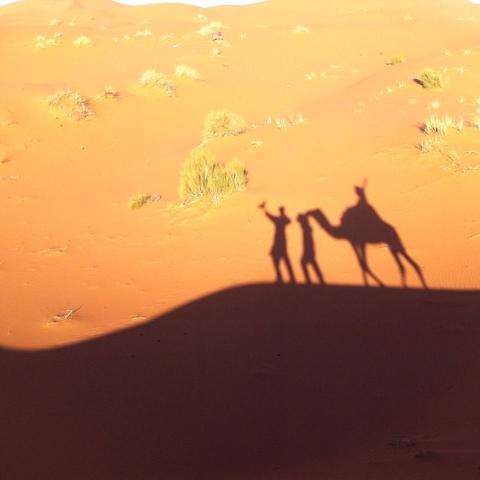 モロッコ、サハラ砂漠のらくだツアー