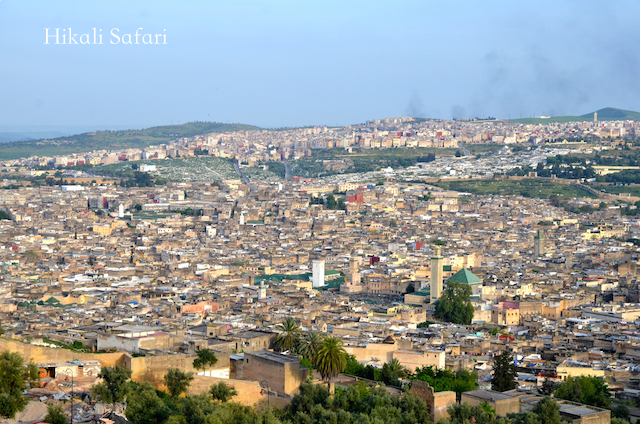 モロッコ、フェズの旧市街を望む